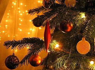 white bauble hanged on christmas tree