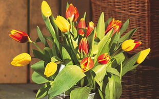 yellow and red petaled flower with green leave near brown wicker basket