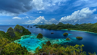 clear blue water river in the middle of lush green mass of land