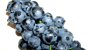 black grapes HD wallpaper