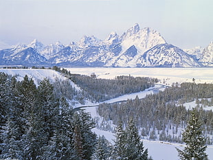 aerial photography of mountain surrounding by snow