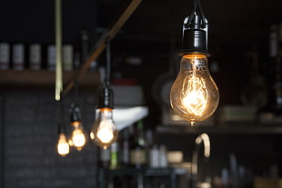 selective focus photography of four light bulbs HD wallpaper