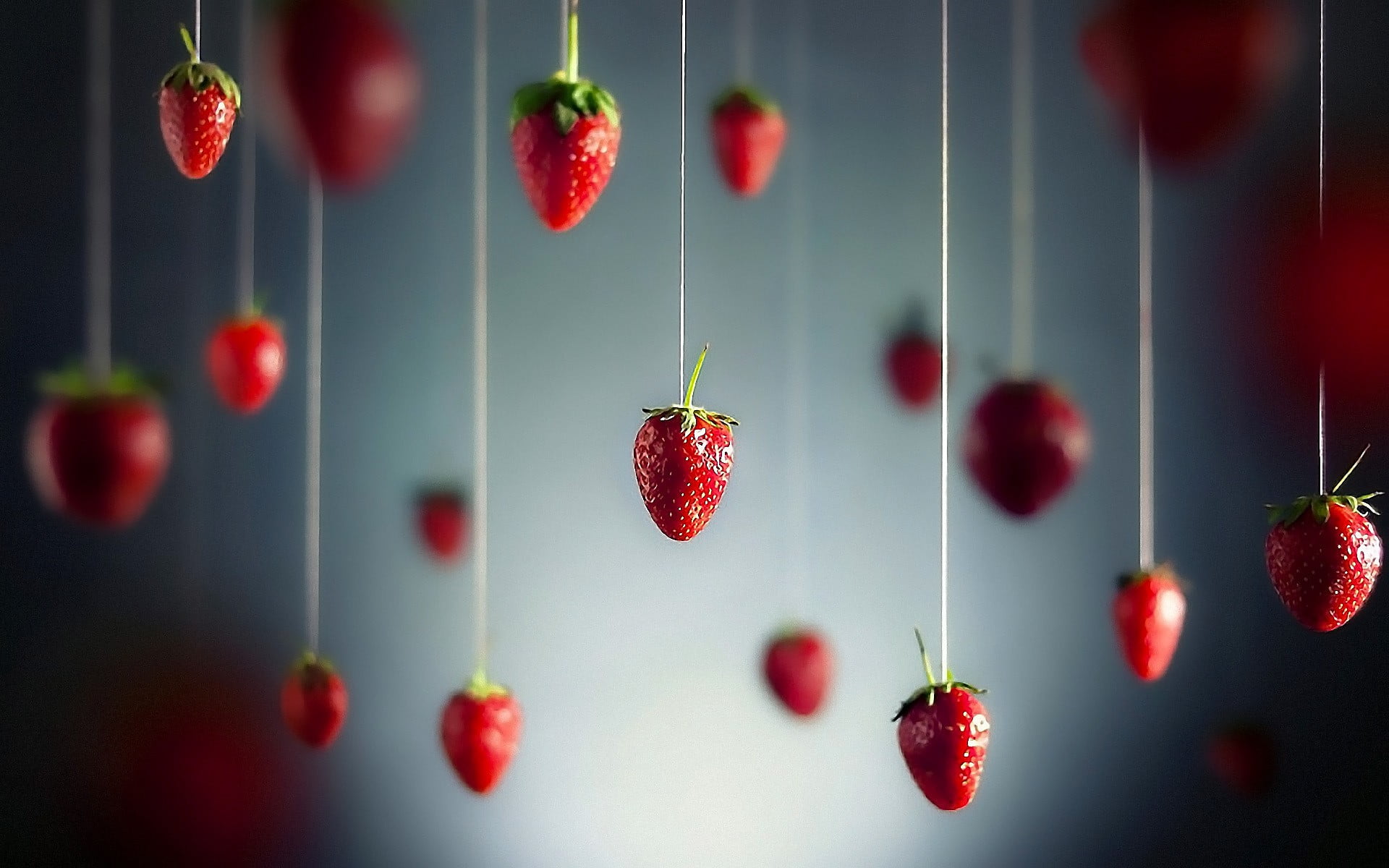 strawberry fruit, strawberries, depth of field, fruit