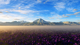 green mountain and pink petaled flower field, nature, landscape, mountains