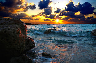 beach shore with rocks during golden time