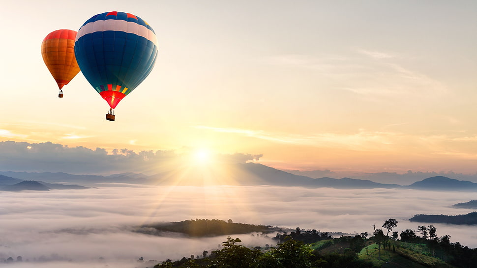 two blue and orange hot air balloons at horizon HD wallpaper