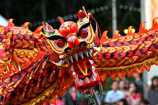 people doing dragon dance