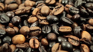 brown and black stone fragment, coffee, beans HD wallpaper