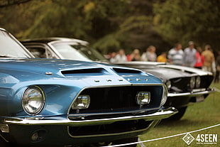 two blue and black vehicles, Ford, car, vehicle