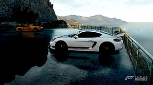 white 5-door hatchback, car, Forza Horizon 2, Porsche HD wallpaper
