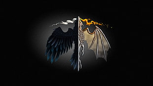 raven and dragon wall paper HD wallpaper