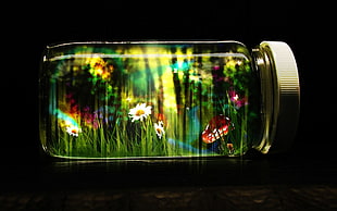 flower themed decorative mason jar HD wallpaper