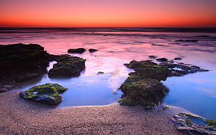 sea shore during sunset HD wallpaper