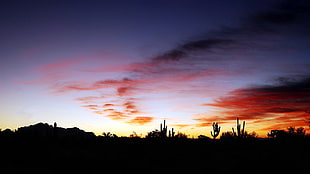 sunset over the horizon, sunset, sky, desert, dark