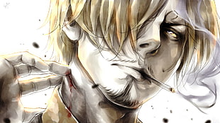 One Piece Vinsmoke Sanjie character illustration HD wallpaper