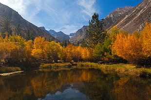 landscape photography of trees, mountains, and lake, big pine HD wallpaper