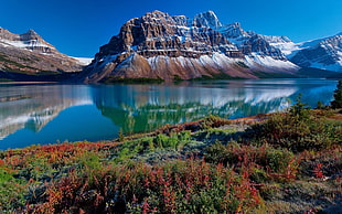 grass surrounding lake near mountains photo