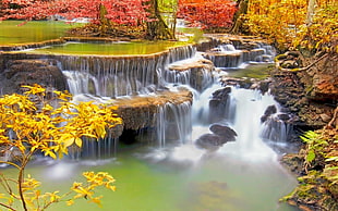 waterfalls near trees at daytime digital wallpaper HD wallpaper