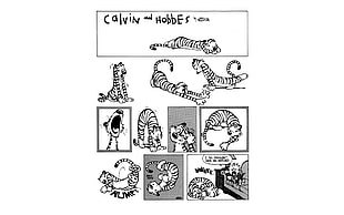 cub collage illustration, Calvin and Hobbes, comics, simple HD wallpaper