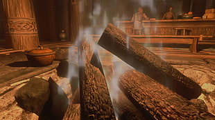 brown firewoods, The Elder Scrolls V: Skyrim, video games, screen shot HD wallpaper