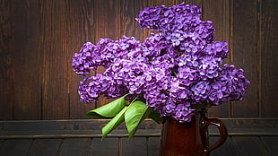 purple petaled flowers, nature, flowers HD wallpaper