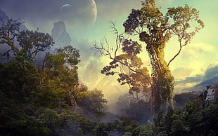 green forest illustration, forest, planet, trees, tropical HD wallpaper