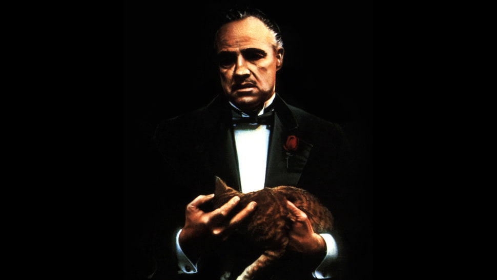 Godfather wallpaper, The Godfather, cat, Marlon Brando, Vito Corleone HD wallpaper