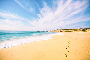 landscape shot of seashore