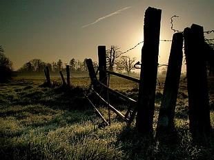 brown wooden fence on green grass at golden hour HD wallpaper
