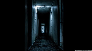 black and grey hallway, hallway, ruin, abandoned HD wallpaper
