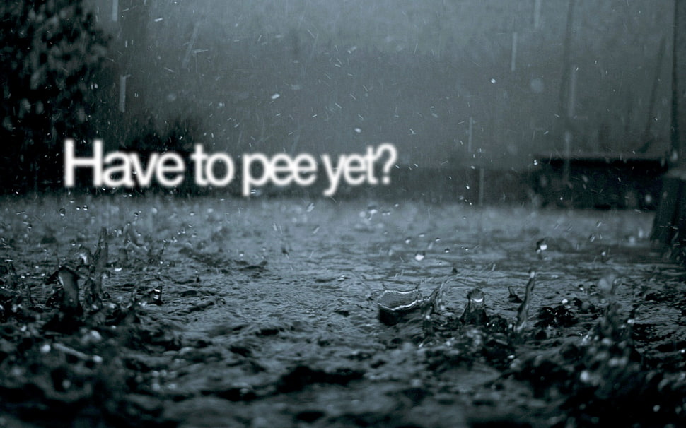 Have to pee yet? quote HD wallpaper