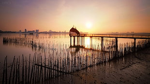 brown wooden dock, sunset, nature, water, mountains