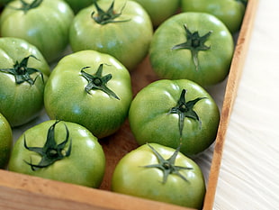 green tomatoes in box HD wallpaper