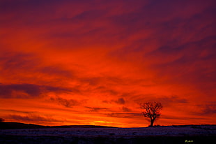 sunset silhouette photography