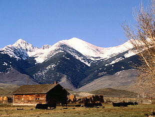 brown wooden house, mountains