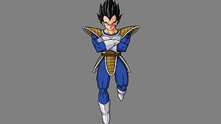 Dragon Balls Vegeta, Vegeta, Dragon Ball Z