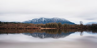 lake surrounded by green trees HD wallpaper