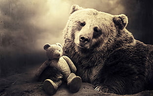 sepia photography of bear and bear plush toy