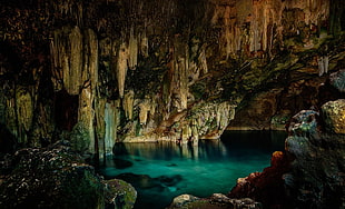 brown and gray cave, cave, cenotes, stalactites, water