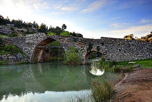 cobblestone bridge over green river HD wallpaper