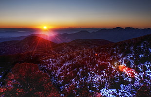 snow covered forest mountain under sunset sky