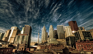 assorted concrete buildings, cityscape, Canada, Toronto, HDR HD wallpaper