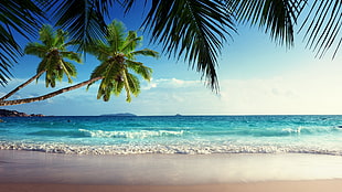 landscape photo of beach, beach, sand HD wallpaper