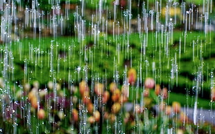 person showing a rain drop