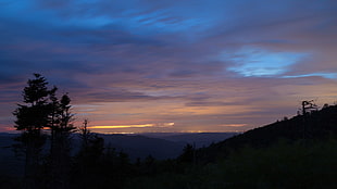 silhouette of trees and mountain on sunset, landscape