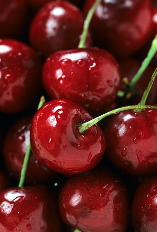 assorted red berries