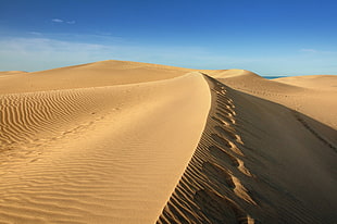 Sahara Desert