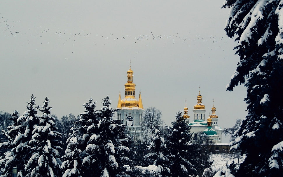 yellow and white temple photo under the clear sky during daytime HD wallpaper