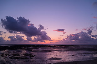 seashore, nature, water, beach