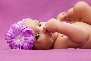 baby wearing purple flower headband HD wallpaper